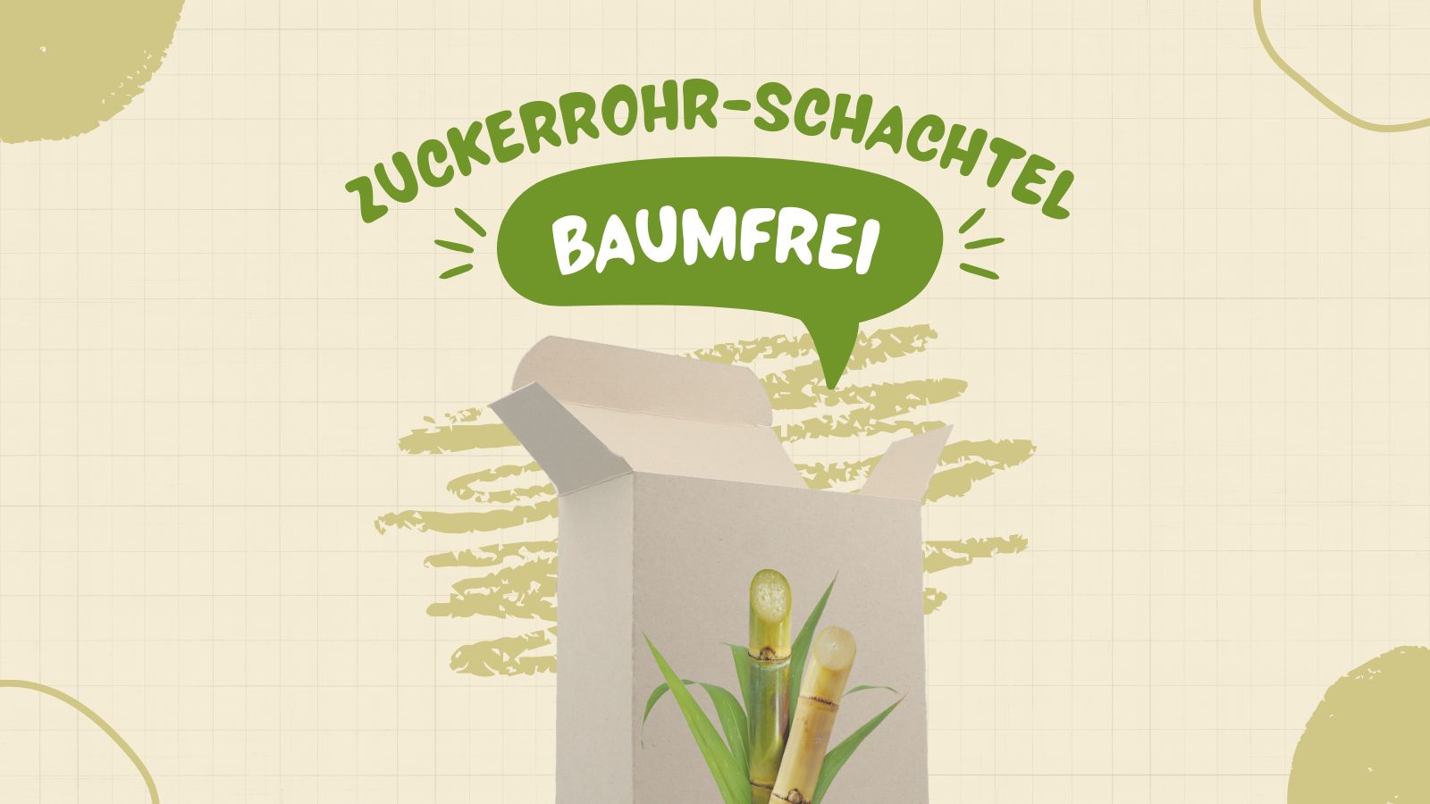 Baumfreie Kartonage aus Bagasse (Zuckerrohr- Abfall)