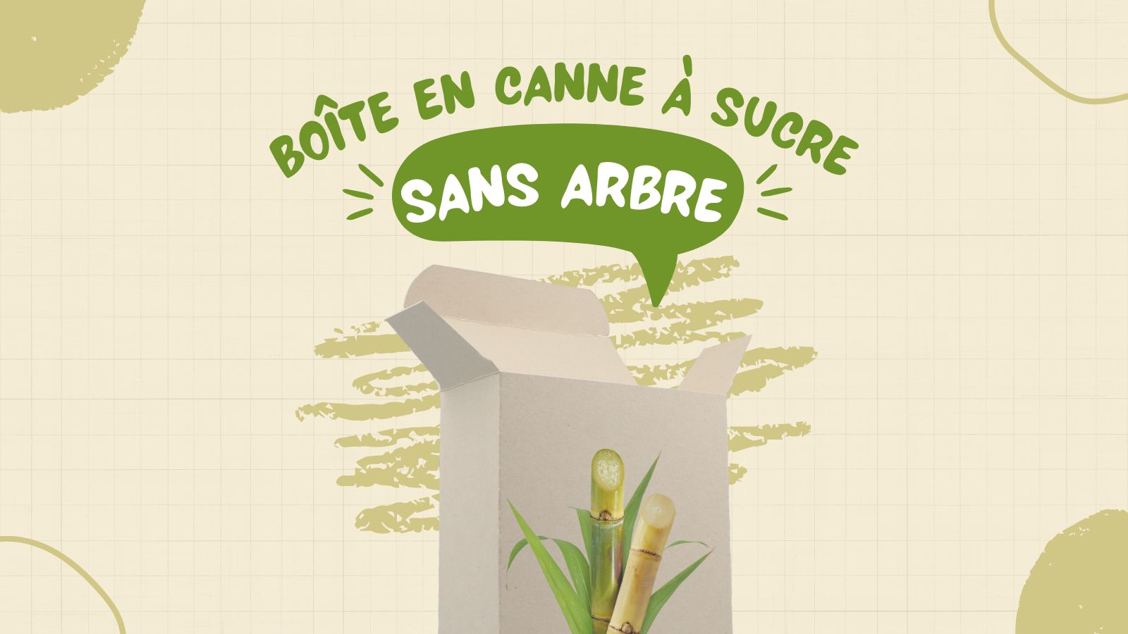 Carton sans arbre à base de bagasse (déchet de canne à sucre)