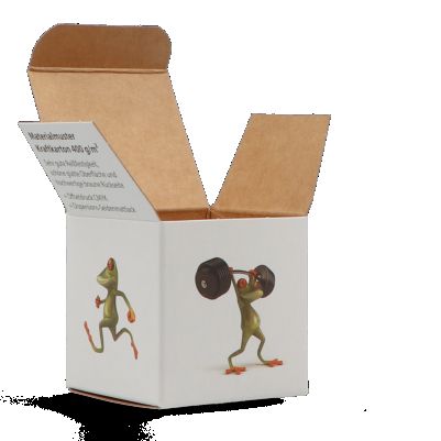 Kraftkarton mit CMYK Offsetdruck