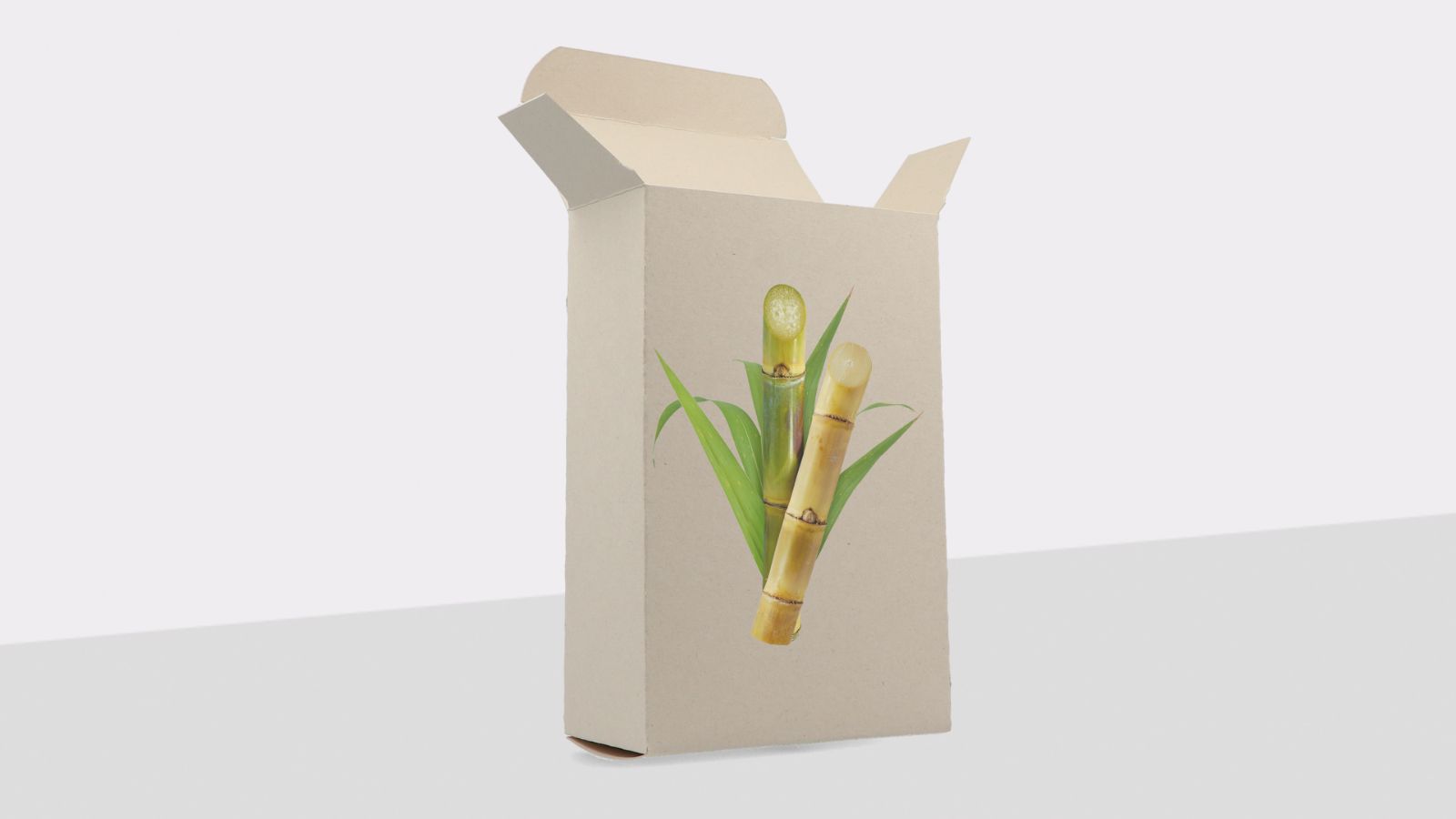 Boîte pliante en carton : Emballage durable fabriqué à partir de carton de canne à sucre