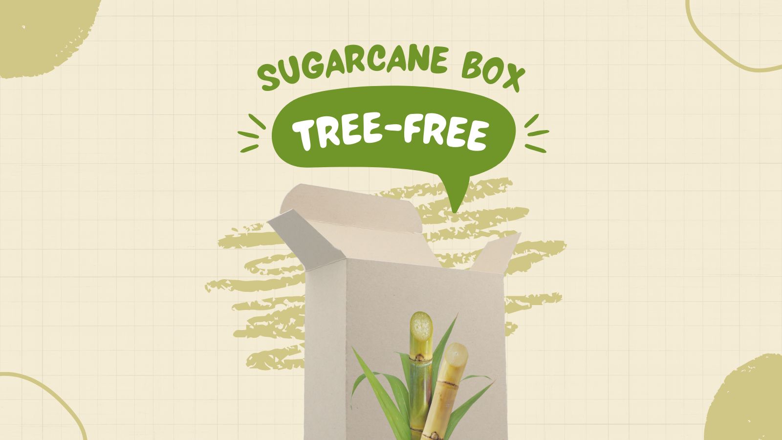 Tree-free cardboard made from bagasse (sugarcane waste)