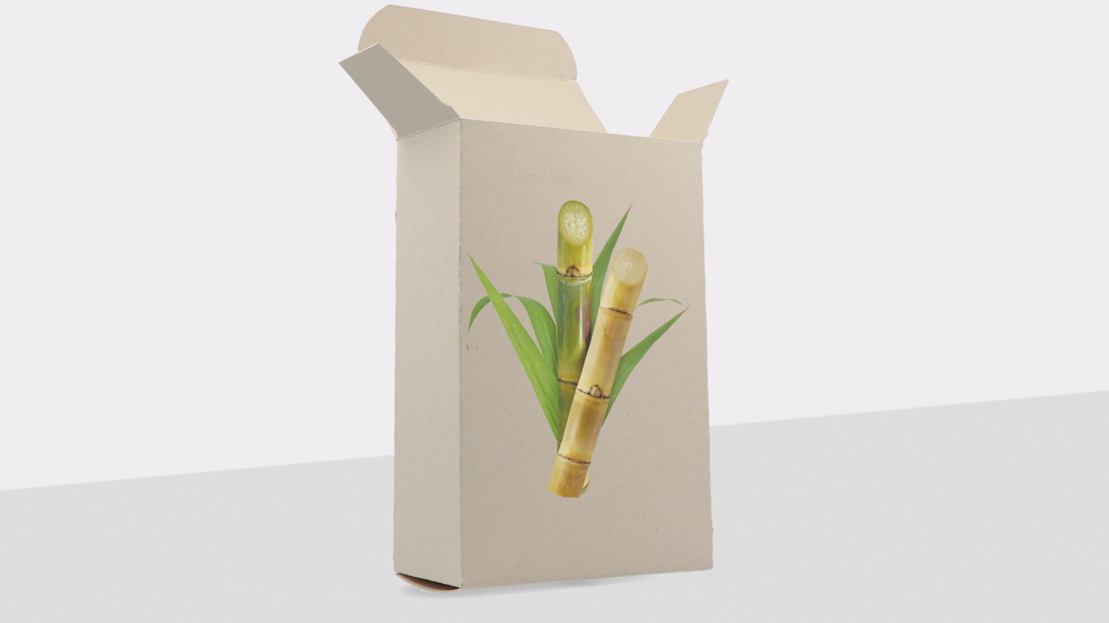 Karton-Faltschachtel: Nachhaltige Verpackung aus Zuckerrohrkarton
