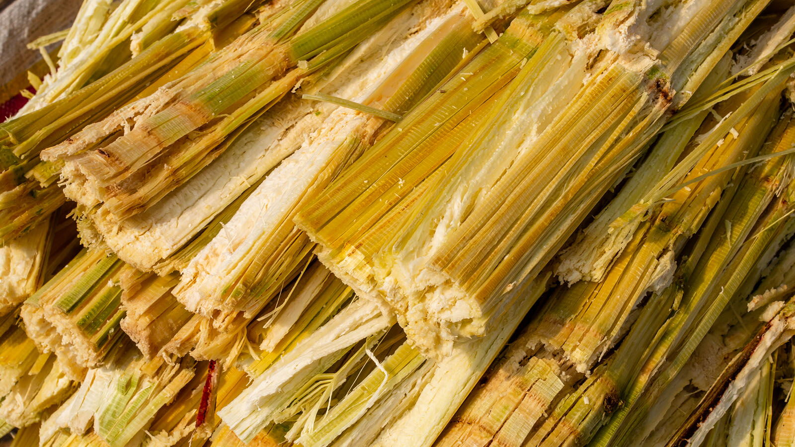 Bagasse: Ein nachhaltiges Material aus Zuckerrohrabfall