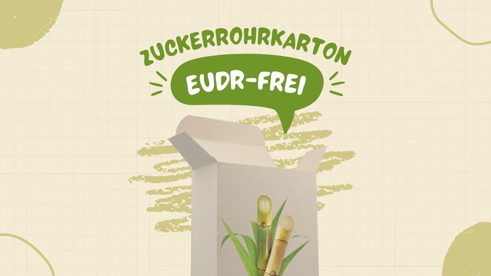 Faltschachteln aus Zuckerrohrkarton (Bagasse) unterliegen nicht der EU-Entwaldungsverordnung (EUDR – European Union Deforestation Regulation)