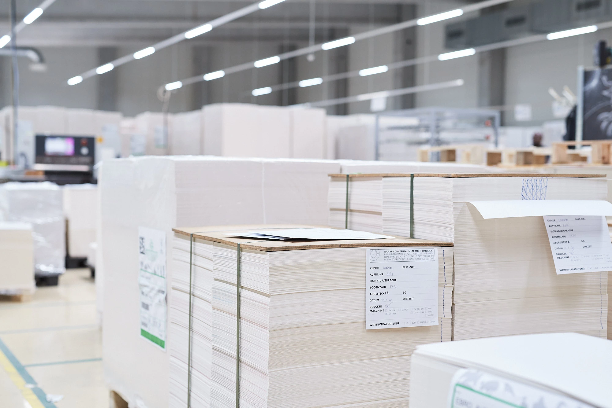 Pallets with stacked cardboard sheets in production hall
