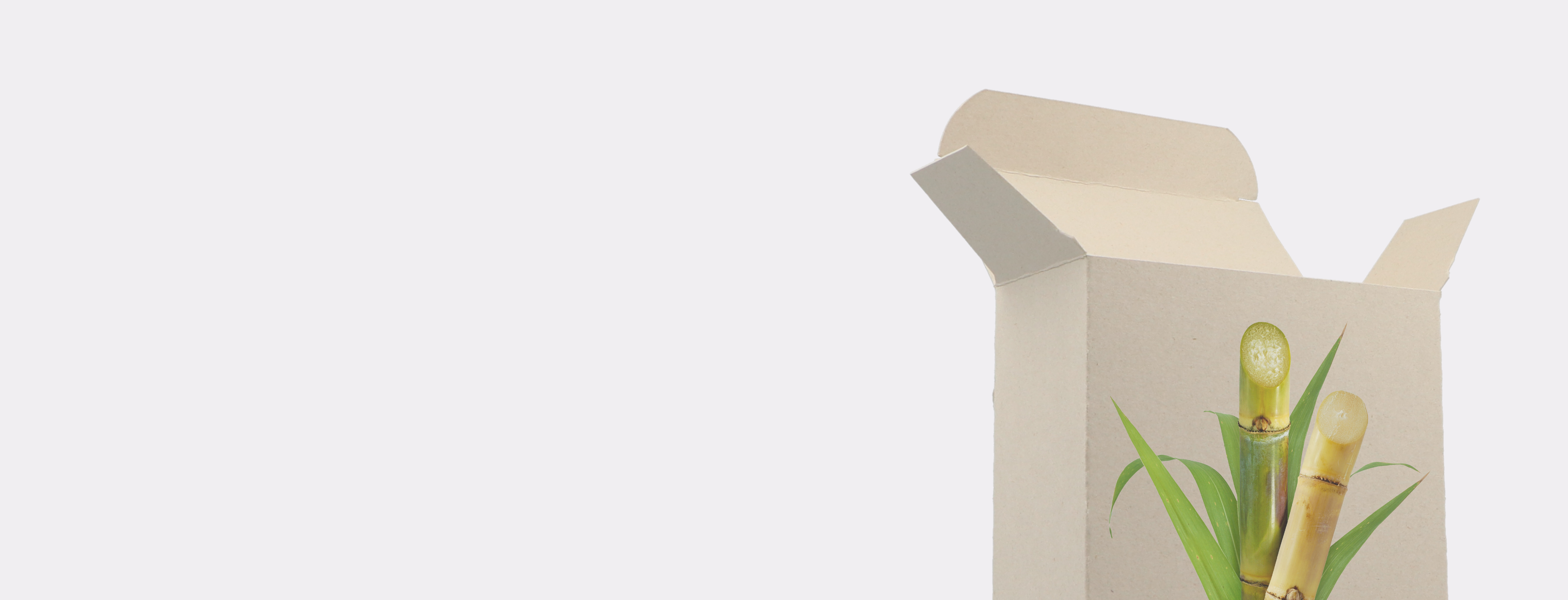 Cardboard Folding Box: Sustainable Packaging Made from Sugarcane Cardboard